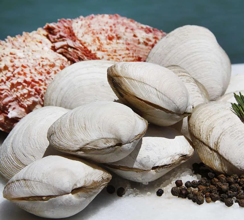 Lambretas